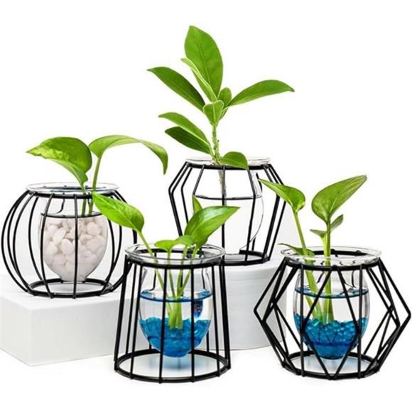 4pcs Plant Stations with Metal Stand Glass Bulb Vases Set for Hydroponics Plants - Picture 4 of 7